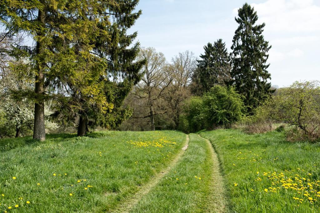 Entre Nous Hotel Rozoy-sur-Serre Bagian luar foto